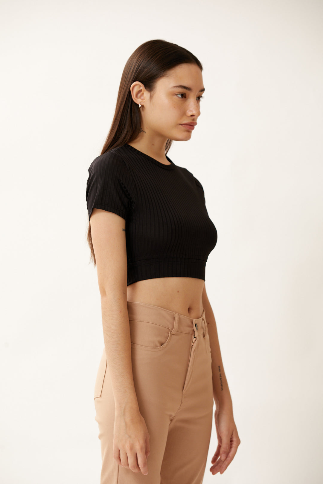 Top Zinnia Negro